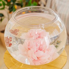 水晶鬥魚屋, 單一顏色