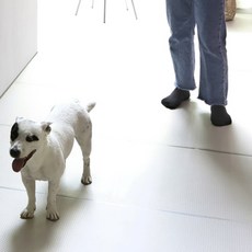 매직 강아지 퍼피매트, 젤리 그레이, 1개