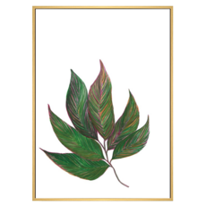 BOLUO GALLERY 菠蘿選畫所 植栽生活 扇葉 掛畫 BFWP3407D, 原木色