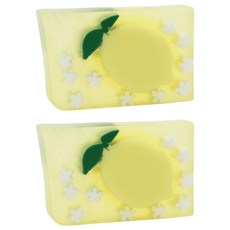 프라이멀엘리먼츠 바디솝 캘리포니아 레몬, 2개, 165g