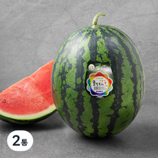 생거진천 덕산 꿀수박, 8kg 이상, 2개