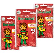 Em-eukal 維他命無糖潤喉糖 櫻桃味, 75g, 3包