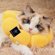 DING DONG PET 寵物蓬鬆向日葵頸圈, 黃色向日葵