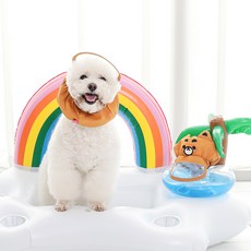 래핑찰리 반려동물 헤어 방수 밴드 M, 브라운, 1개