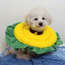 CHOCOPET house 太陽花寵物頭套, 1個