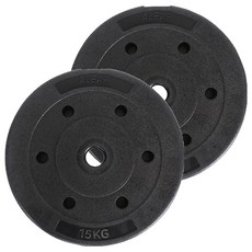 아리프 플렉스 경량 원판, 15kg, 2개