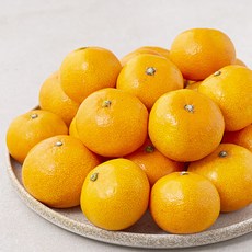 곰곰 당도선별 서귀포 꼬마 감귤, 1개, 1.5kg