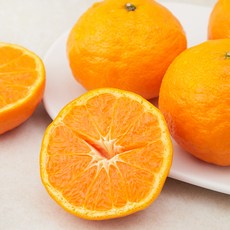 새벽경매 카라향, 1.2kg(6~9입), 1봉