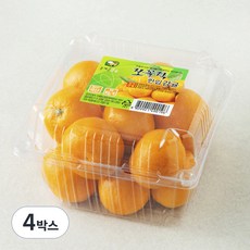 올레길감귤 쪼꼴락 AI 당도선별 11brix 한입감귤 꼬마과, 800g(꼬마과), 4박스