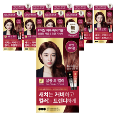 엘라스틴 살롱 드 컬러 앤 새치 염색 크림, 와인브라운, 10개