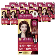 엘라스틴 살롱 드 컬러 앤 새치 염색 크림, 와인브라운, 15개