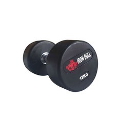 아이언불 덤벨 12kg, 1개