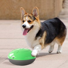 DING DONG PET 寵物龜蛋零食球, 綠色, 1個