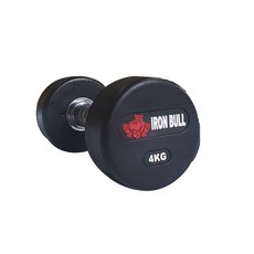 아이언불 덤벨 4kg, 1개
