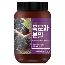 건강스토리 복분자 분말, 200g, 1개