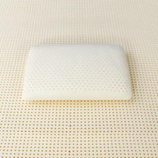 Rubber tree 乳膠枕頭, 象牙白, 1個