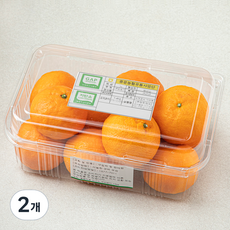 중문농협 당도선별 GAP 인증 카라향, 1.4kg(11~17입), 2개