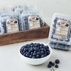 수플린 미국산 블루베리, 12개, 125g