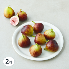 제이드가든 유기농 인증 산지직송 무화과 2팩, 1kg, 2개