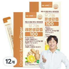 내츄럴플러스 유기농 레몬생강즙 100 15p, 300g, 12개
