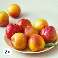 이로운 군위 당도선별 후무사 자두, 2개, 1.2kg(특대)