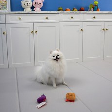 CHERRYPET 小狗文件夾墊, 灰色