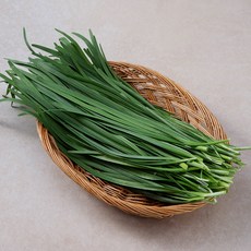 강원 고랭지 부추, 1개, 200g