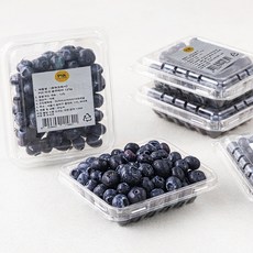 내츄리페 미국산 PSK 블루베리, 12개, 125g