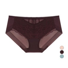 비너스 여성용 아뜰리에 VER 2 헴 팬티