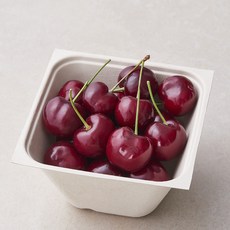 아주마 산지직송 국내산 영동 체리, 250g, 1개