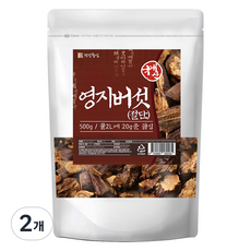 건강중심 국내산 절단 영지버섯, 2개, 500g