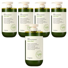 에코글램 스칼프 클렌징 샴푸 프레쉬 민트, 1L, 5개