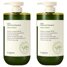 에코글램 스칼프 클렌징 샴푸 프레쉬 민트, 1L, 2개