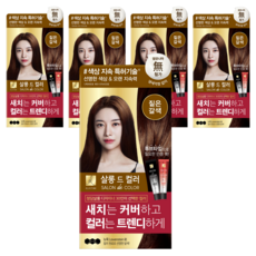 엘라스틴 살롱 드 컬러 염색제 세트, 짙은갈색, 5개