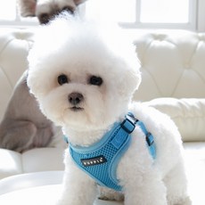 퍼피아 강아지 소프트 C 가슴줄 하네스, 스카이블루, 1개