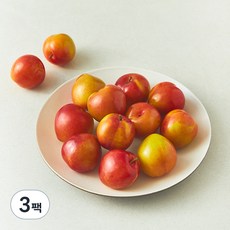 새콤 달콤한 자두(대과), 800g, 3팩
