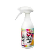 台塑生醫 BioLead 氣炸鍋專用去污泡泡洗, 500g, 1瓶
