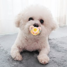 DING DONG PET 狗狗嬰兒奶嘴固齒器, 1個, 粉紅色