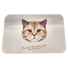 收納王妃 珪藻土地墊 快速吸乾 防霉抗菌 有機天然, 白色, 1個