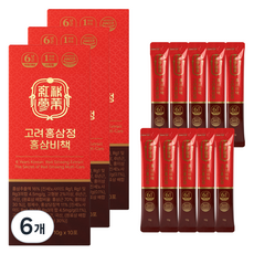 웰트릿 고려홍삼정 홍삼비책 10p, 6개, 100g