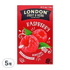 런던프룻앤허브 라즈베리랑데뷰 티백, 2g, 20개입, 5개