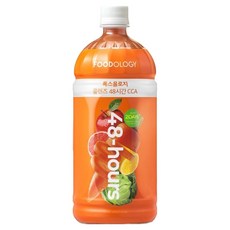 푸드올로지 톡스올로지 48시간 CCA 클렌즈주스, 1L, 1개