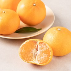 곰곰 당도선별 천혜향, 1.2kg(중과, 4~6입), 1개