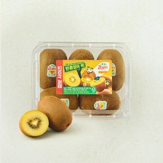 제스프리 국내산 점보 썬골드키위, 1개, 750g