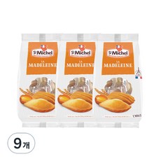 생미쉘 마들렝 과자케이크, 250g, 9개