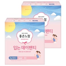 좋은느낌 입는 데이팬티 생리대, 대형, 8개입, 2개