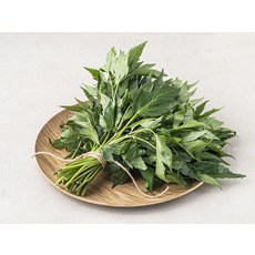 당귀잎, 500g, 1개