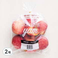 셀렉트팜 꼬마 사과 얌 8~9입, 1.5kg, 2개