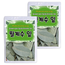 잡내제거 요리 필수템 프리미엄 건조 월계수잎, 2개, 100g