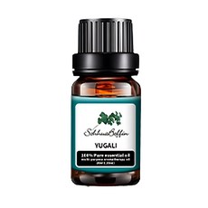 B牌香薰專用精油尤加利【防疫】10入組, 1組